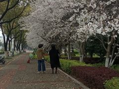-玉山公园