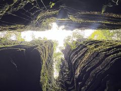 -梭布垭石林景区