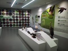 -东寨港红树林旅游区