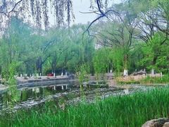 -满都海公园