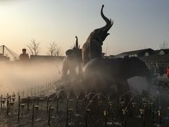 -临沂动植物园