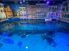 -华夏文旅海洋公园