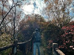 -秦岭终南山世界地质公园翠华山景区