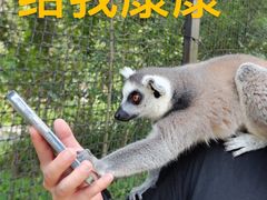 -云南野生动物园