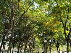 -尚贤河湿地
