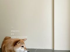-Onirii Coffee(长乐路店)