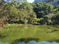 -深圳仙湖植物园