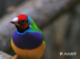 这个暑假快带孩子来和萌宠一起互动吧!