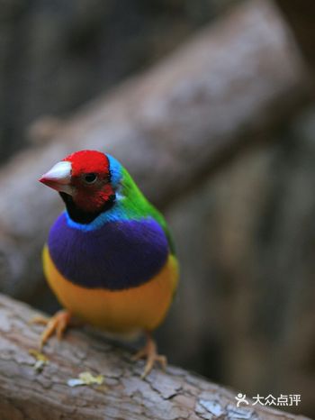 这个暑假快带孩子来和萌宠一起互动吧！