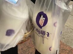 -一只酸奶牛(曲江龙湖星悦荟店)