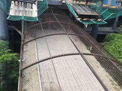 -圣淘沙天际线斜坡滑车