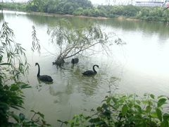 -艾溪湖湿地公园