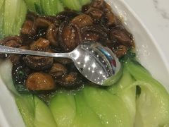 -南八仙·老上海味道(南京东路店)
