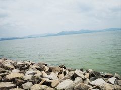 -深圳湾公园(南山区)
