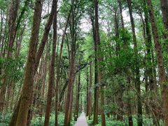 -同里国家湿地公园