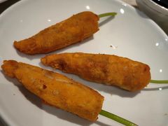 -丁老爷子苏香圆