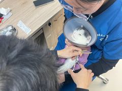 -派美特宠物医院·核磁CT·骨科肿瘤·疑难转诊(沈农禾丰店)