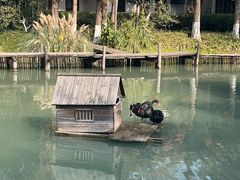 -乌村