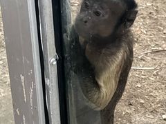 -合肥野生动物园