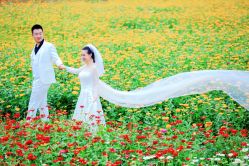 -巴黎新娘婚纱摄影·婚礼策划(嘉定总店)