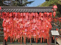 -信号山公园