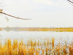 -野鸭湖国家湿地公园