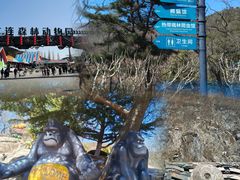 -大连森林动物园