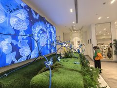 -深圳龙华星河COCO City(民治店)