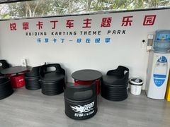 -锐擎卡丁车主题乐园(郊野公园店)