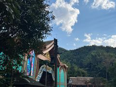 -西双版纳原始森林公园