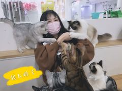 -李小姐の猫咖啡馆(五角场店)