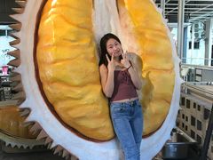 -都念榴莲·城市榴莲