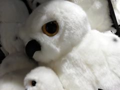 -九又四分之三站台哈利波特商店