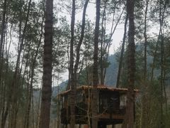 -楠溪江风景名胜区