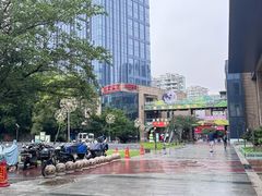 -绿地新都会