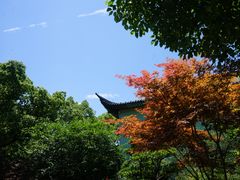 -浙江西子宾馆·牡丹厅