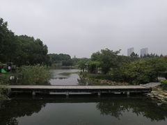 -蠡湖大桥公园