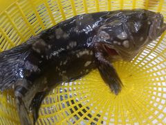 -鑫鸿达·海鲜闽菜热炒小馆(中山路店)