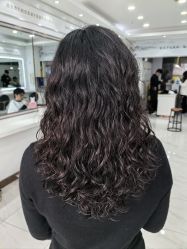 -镁连社·美联社