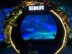 -沈阳海洋探索中心