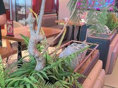 -老板恋上鱼(恒隆广场店)