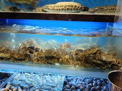 -喜庭海鲜自助(来福士店)