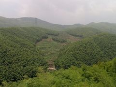 android_upload_pic-宁波浙东大竹海景区