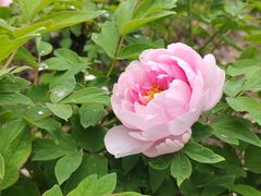 -江南大学(蠡湖校区)