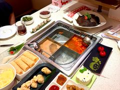 -海底捞火锅(吾悦国际广场店)