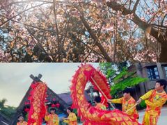 -丹樱生态园