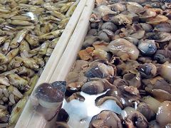 -大连双兴商品城