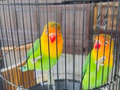 -广富林宰相府酒店·水云间
