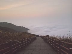 -大围山国家森林公园