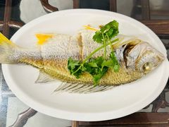 -长平肥姐白粥·海鲜打冷